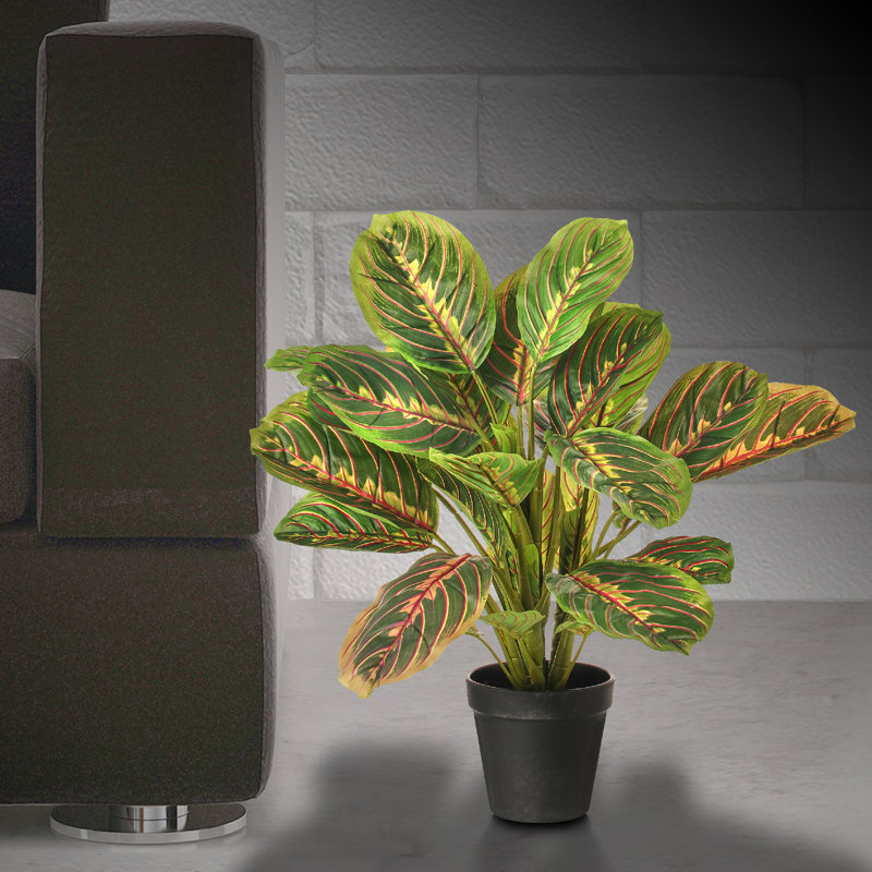 Bay Isle Home 17" Artificial Banana Leaf Plant in Pot & Reviews Wayfair